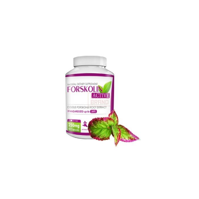 ⌠ Forskolin active ⌡ ⌠ capsule dimagranti ⌡