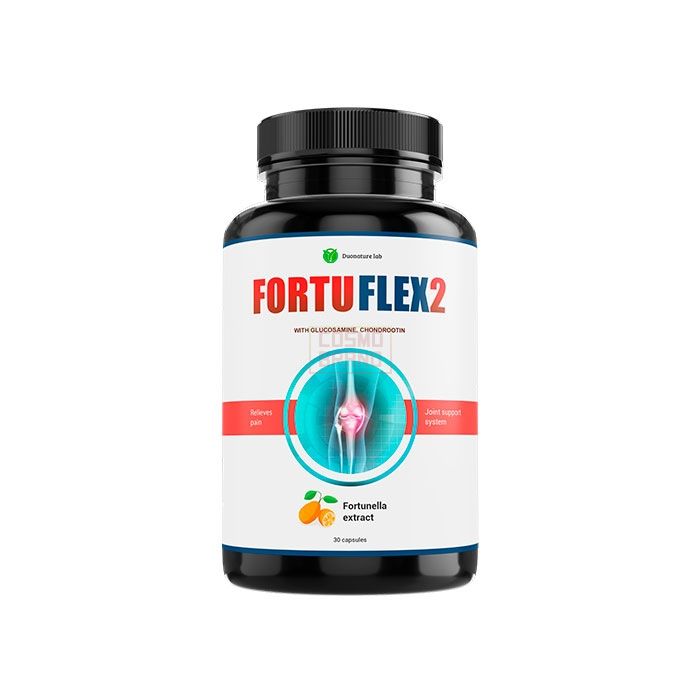 ⌠ Fortuflex2 ⌡ ⌠ joint recovery pills ⌡