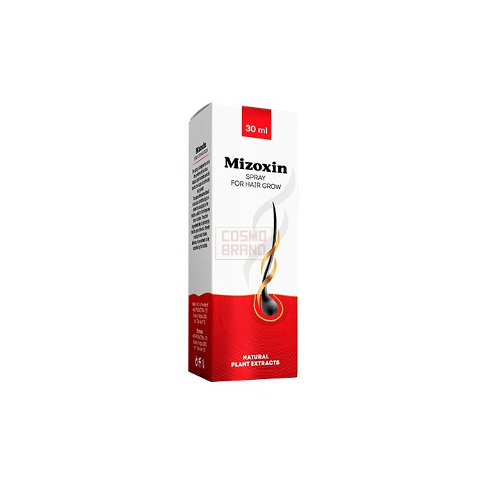 ⌠ Mizoxin ⌡ ⌠ hair restoration product ⌡