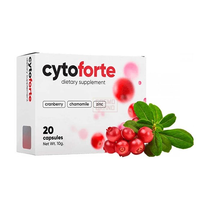 ⌠ Cytoforte ⌡ ⌠ средство от цистита ⌡